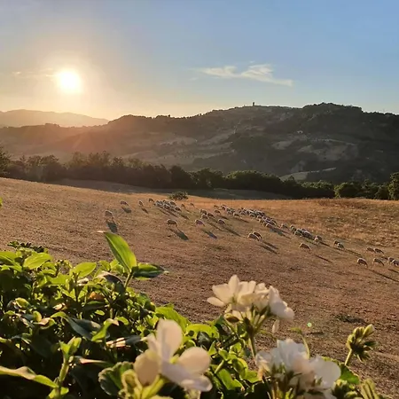 Paugnano * Radicondoli