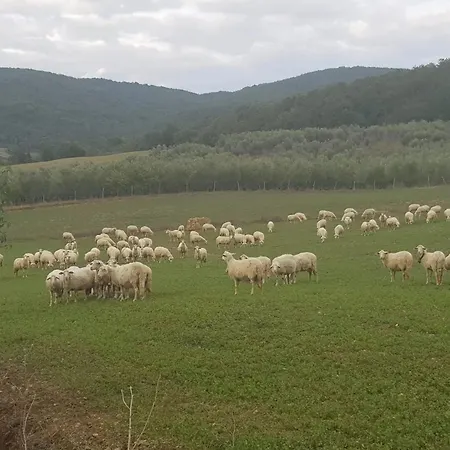 Paugnano * Radicondoli