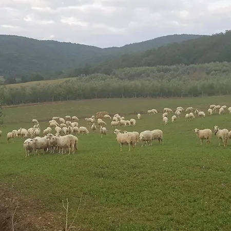 Paugnano Bauernhof *